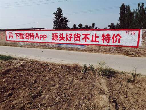 四川淘特app手绘墙体广告