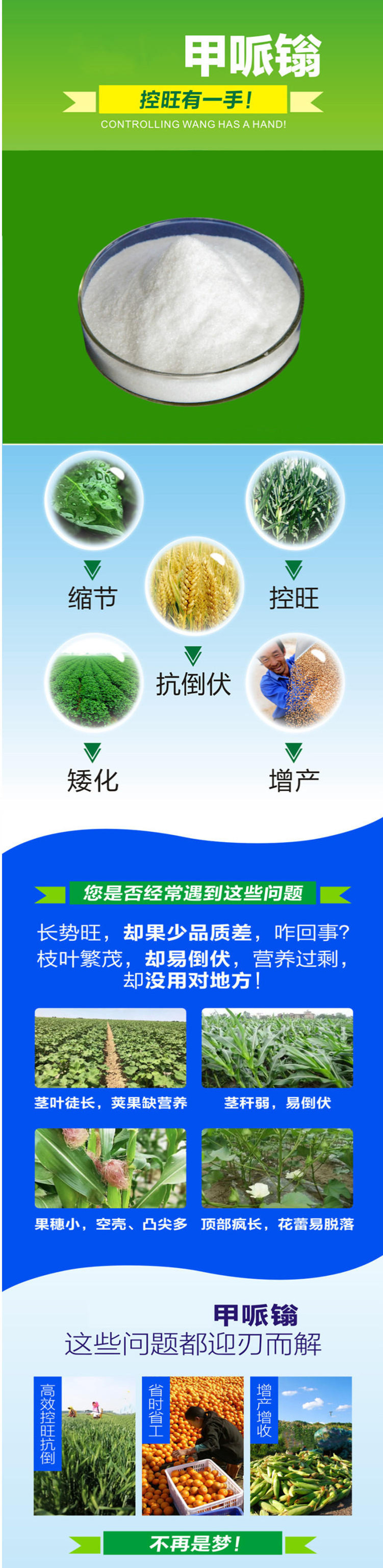 甲哌鎓（缩节胺）简介长图 (2)