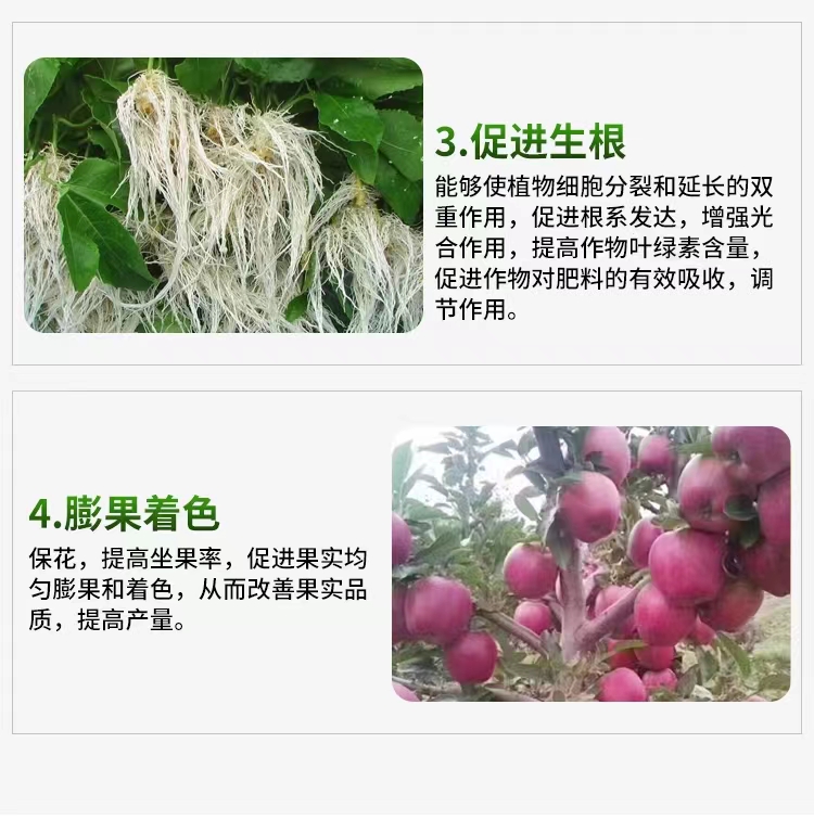 胺鲜酯特点2
