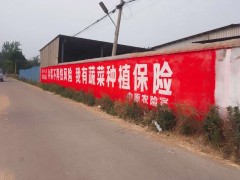 四川凉山户外墙面广告墙是路标！指引好生活
